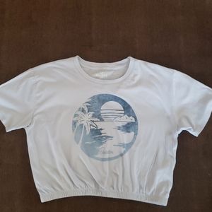 Hollister Crop T-Shirt